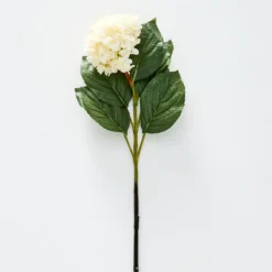 Hydrangea Flower Stem White