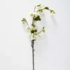 Blossom Stem -Provincialhomeliving 1050418 aa