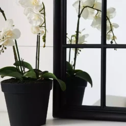 Martinique Curved Mirror -Provincialhomeliving 1090093 C