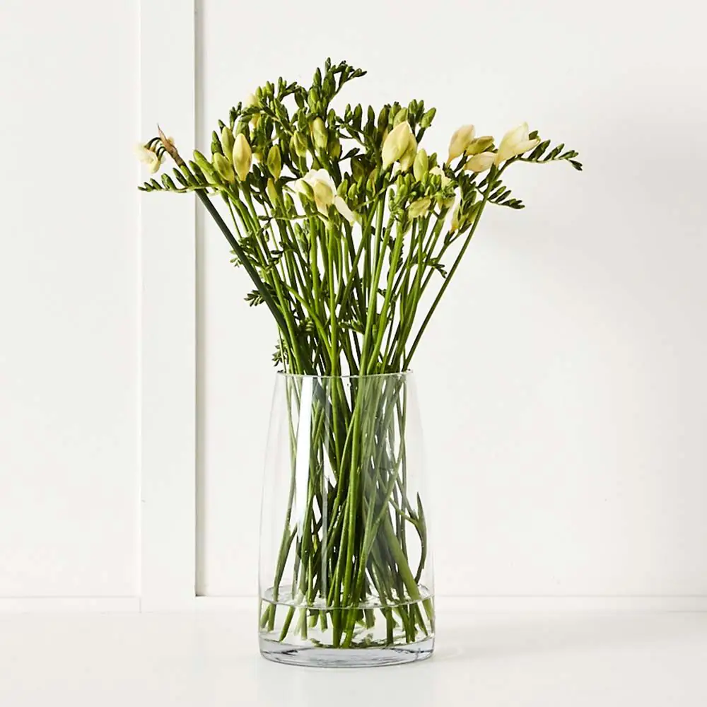 Anika Vase S Clear 4 Anika Vase S Clear - Image 2