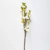 Sakura Blossom Stem -Provincialhomeliving 1117255771 aa