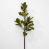 Holly Stem -Provincialhomeliving 1117256708 aa