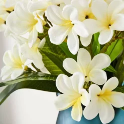 Frangipani Stem -Provincialhomeliving 1117256709 D