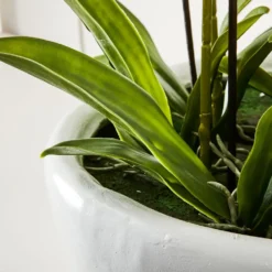 Phalaenopsis Potted Orchid White – Five Spikes Luxury Artificial Floral Arrangement 10 Phalaenopsis Potted Orchid White – Five Spikes Luxury Artificial Floral Arrangement -Provincialhomeliving 1117257173 v