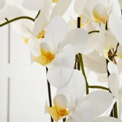 Phalaenopsis Potted Orchid White – Five Spikes Luxury Artificial Floral Arrangement 11 Phalaenopsis Potted Orchid White – Five Spikes Luxury Artificial Floral Arrangement -Provincialhomeliving 1117257173 w