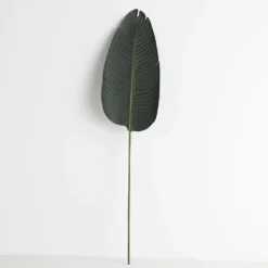 Banana Leaf GREEN