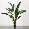 Potted Plant Palm 1 Potted Plant Palm -Provincialhomeliving 1117258241 A