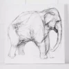 Elephant Canvas 110x110 -Provincialhomeliving 1117258425 A