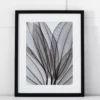Silver Leaf I Print 42x53 -Provincialhomeliving 1117258753 m
