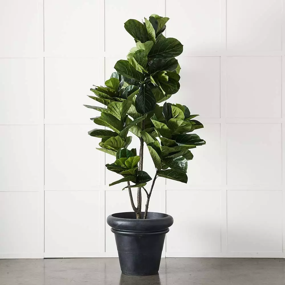 Terrain Tall Flowerpot 4 Terrain Tall Flowerpot - Image 2