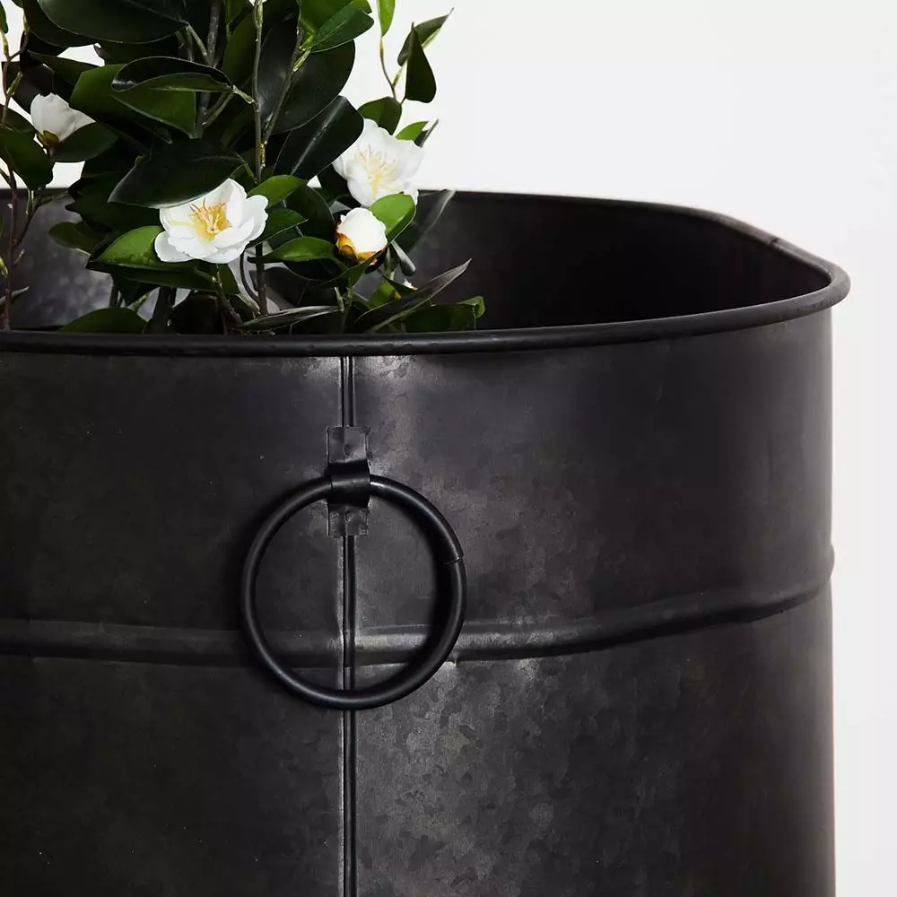 Toscana Large Galvanized Tin Planter – Rectangular Herb Trough Garden Pot 5 Toscana Large Galvanized Tin Planter – Rectangular Herb Trough Garden Pot - Image 3