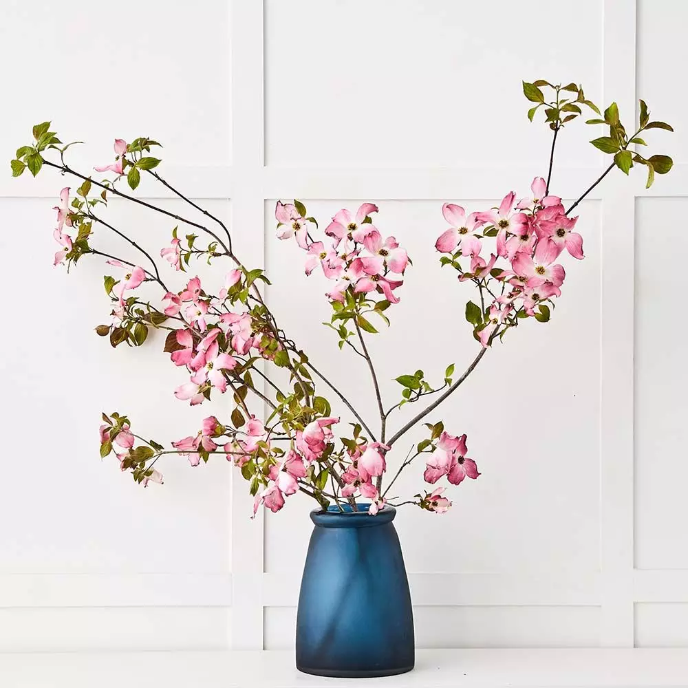 Parisi Wide Vase 4 Parisi Wide Vase - Image 2