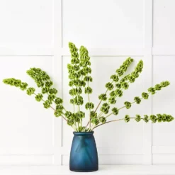 Parisi Wide Vase 8 Parisi Wide Vase -Provincialhomeliving 1117259386 C