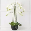 Blume 9 Stem Large White Artificial Orchid - Maintenance-Free 116cm Tall Floral Decor 2 Blume 9 Stem Large White Artificial Orchid - Maintenance-Free 116cm Tall Floral Decor -Provincialhomeliving 1117259428 A