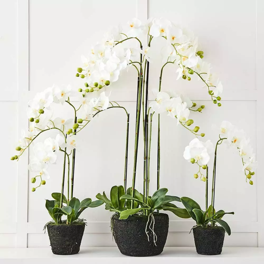 Blume White 3 Stem – Elegant 80cm Realistic Artificial Orchid 4 Blume White 3 Stem – Elegant 80cm Realistic Artificial Orchid - Image 2