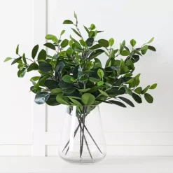 Citrus Leaf Foliage -Provincialhomeliving 1117259478 A
