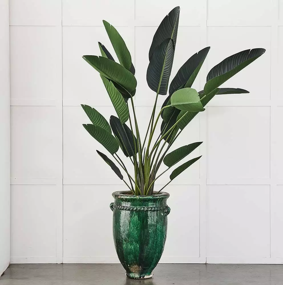 Nomad Sahara Rustic Green - Handmade Ceramic Large Statement Planter 4 Nomad Sahara Rustic Green - Handmade Ceramic Large Statement Planter - Image 2