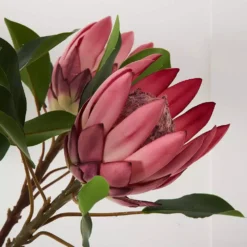 Realistic Faux King Protea Flower Stem - 65cm Artificial Pink and White Floral Decor -Provincialhomeliving 1117259914 B