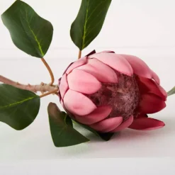 Realistic Faux King Protea Flower Stem - 65cm Artificial Pink and White Floral Decor -Provincialhomeliving 1117259914 D