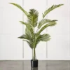 Potted Areca Palm Plant -Provincialhomeliving 1117259930 A