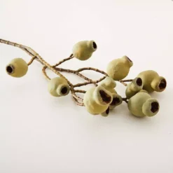 Gumnut Stem -Provincialhomeliving 1117260067 C