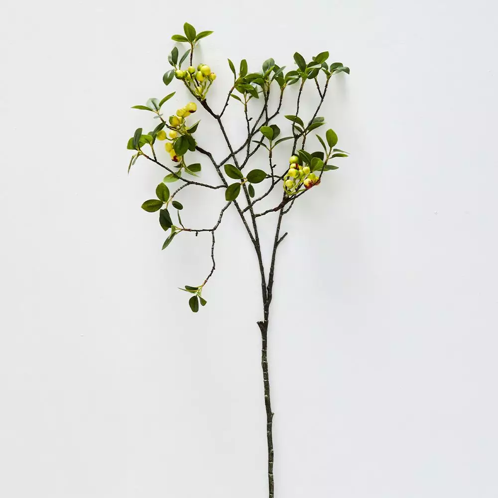 Laurel Berry Stem 3 Laurel Berry Stem