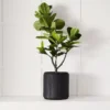 Napoli Planter L -Provincialhomeliving 1117260248 a