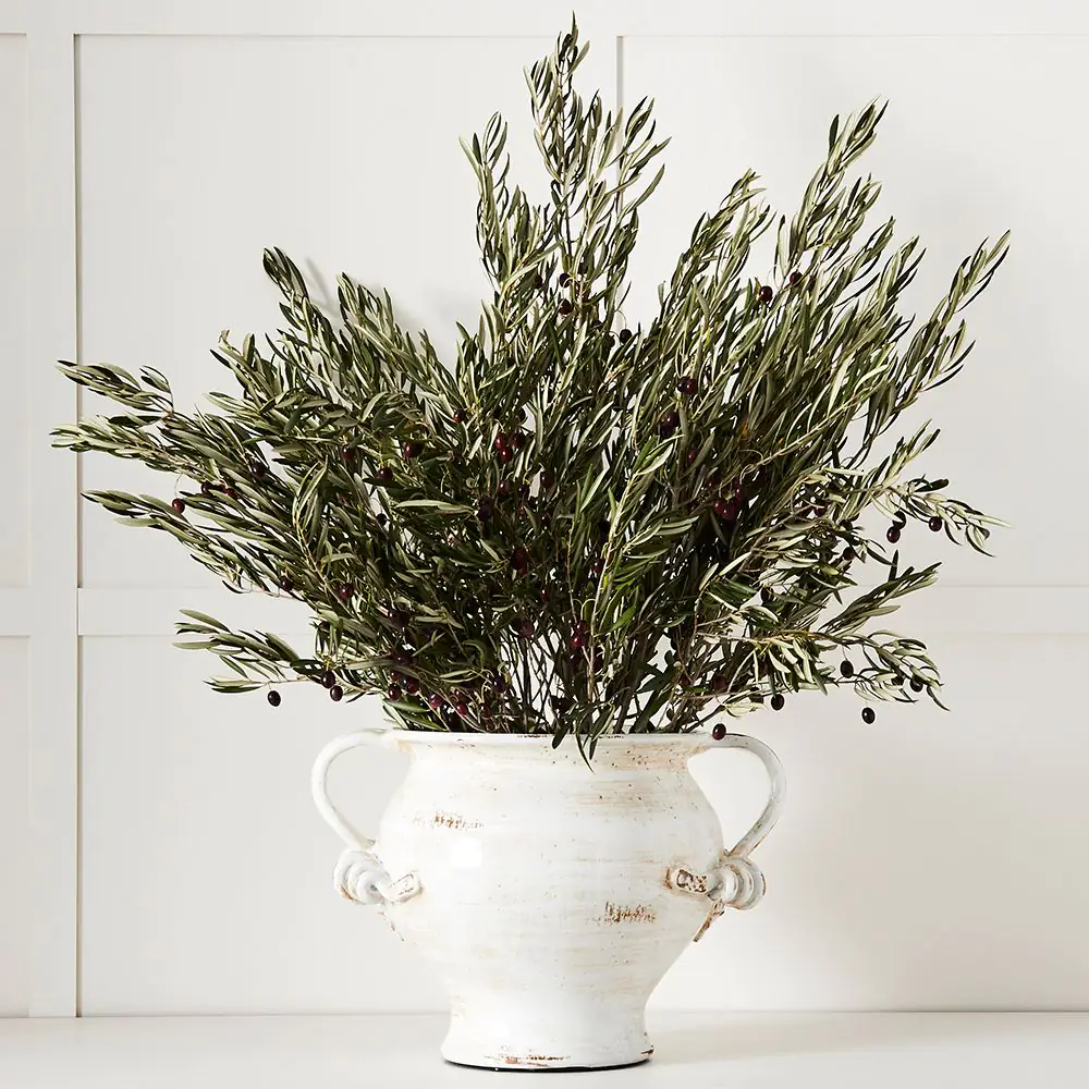 Pelike Urn White 4 Pelike Urn White - Image 2