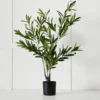 Olive Tree GREEN -Provincialhomeliving 1117260311 a