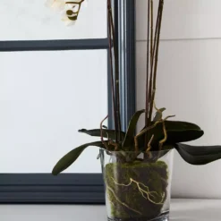 Martinique Mirror -Provincialhomeliving 1117260824 c