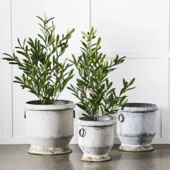 Gruyere Soft Grey Tin Flowerpot - Large Herb & Foliage Decorative Planter -Provincialhomeliving 1117260863 c