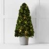 Boxwood Fairy Light Tree 66cm -Provincialhomeliving 1117261353 aa 2
