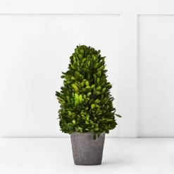 Boxwood Tree 34cm GREEN