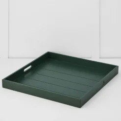 Darwin Tray L Bayleaf