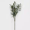 Olive Stem -Provincialhomeliving 1117261463 aa