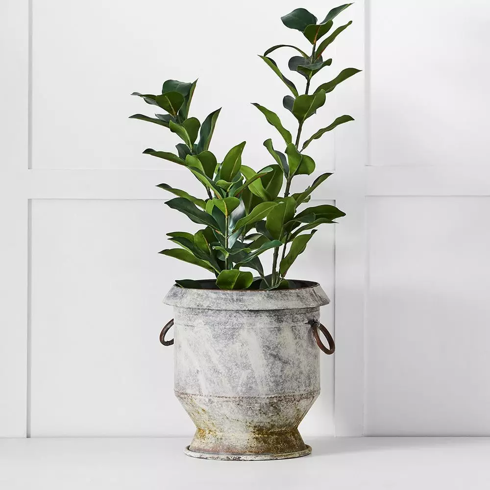 Gruyere Flowerpot XL – Soft Grey Tin Decorative Indoor Planter 4 Gruyere Flowerpot XL – Soft Grey Tin Decorative Indoor Planter - Image 2