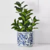 Macau Planter -Provincialhomeliving 1117261584 a