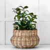 Kubu Bulb Storage Basket 2 Kubu Bulb Storage Basket -Provincialhomeliving 1117261666 a