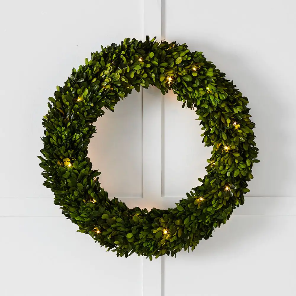 Boxwood Fairy Light Wreath 60cm 3 Boxwood Fairy Light Wreath 60cm