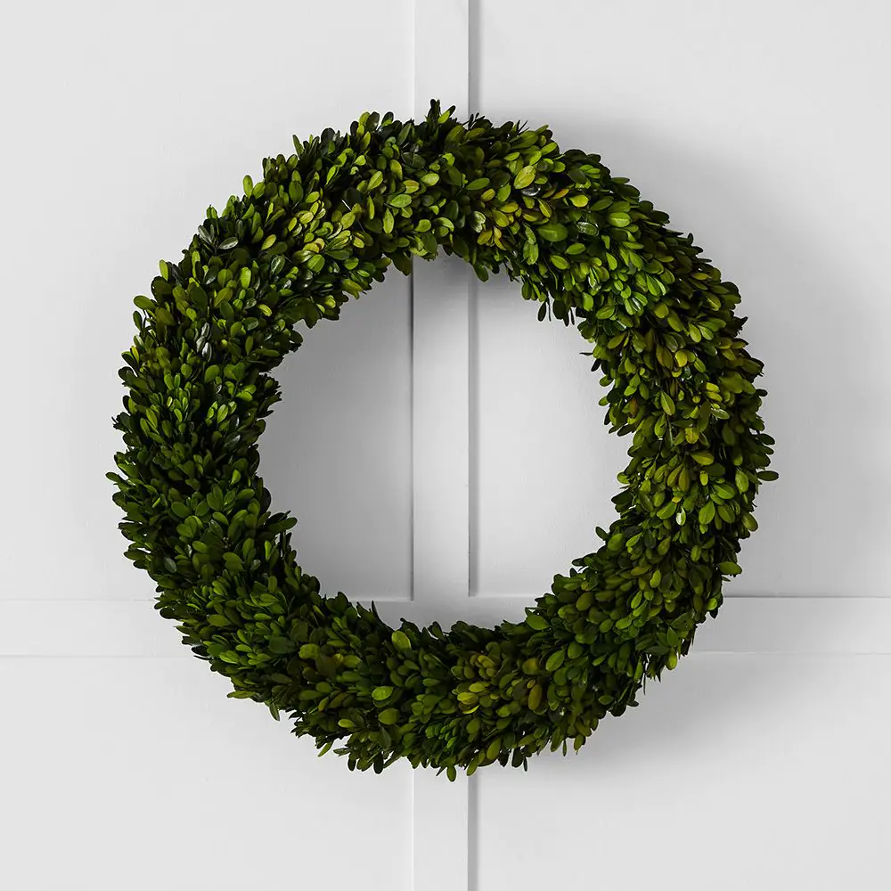 Boxwood Fairy Light Wreath 60cm 4 Boxwood Fairy Light Wreath 60cm - Image 2