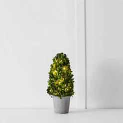 Boxwood Fairy Light Tree 34cm