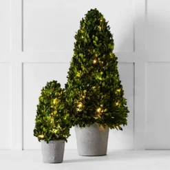 Boxwood Fairy Light Tree 34cm – Preserved Greenery LED Christmas Tabletop Decor -Provincialhomeliving 1117261689 c