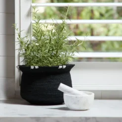 Balboa Basket S Black