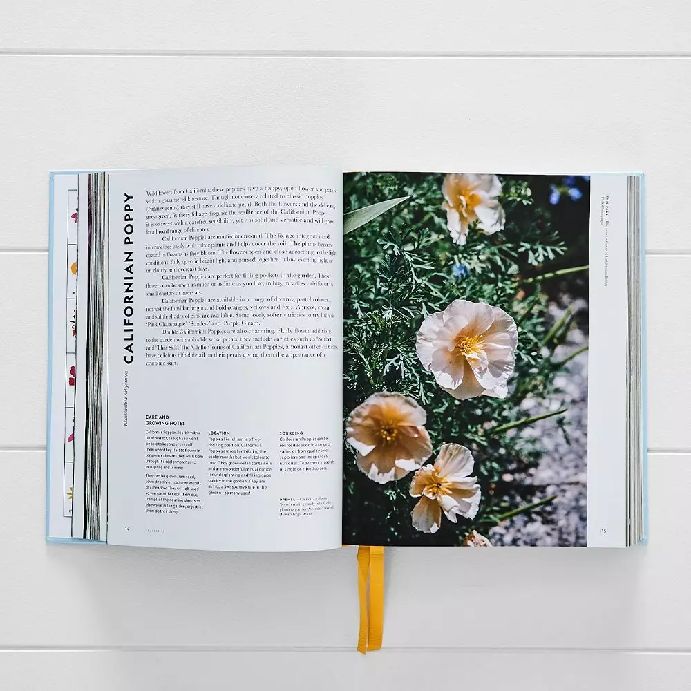 Super Bloom by Jac Semmler – A Guide to Maximum Flowers & Modern Gardening 5 Super Bloom by Jac Semmler – A Guide to Maximum Flowers & Modern Gardening - Image 3