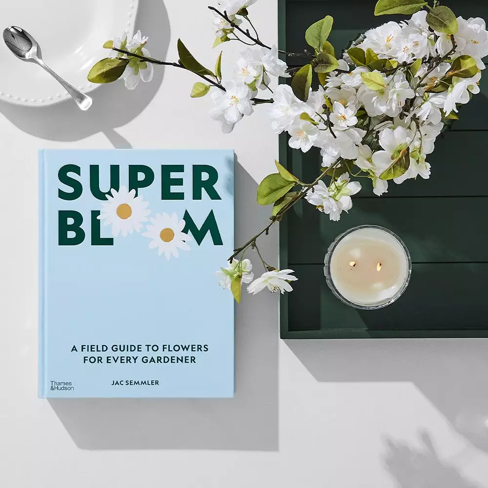 Super Bloom by Jac Semmler – A Guide to Maximum Flowers & Modern Gardening 7 Super Bloom by Jac Semmler – A Guide to Maximum Flowers & Modern Gardening - Image 5