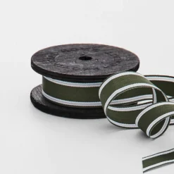 Alpine Lane Ribbon - 10m GREEN