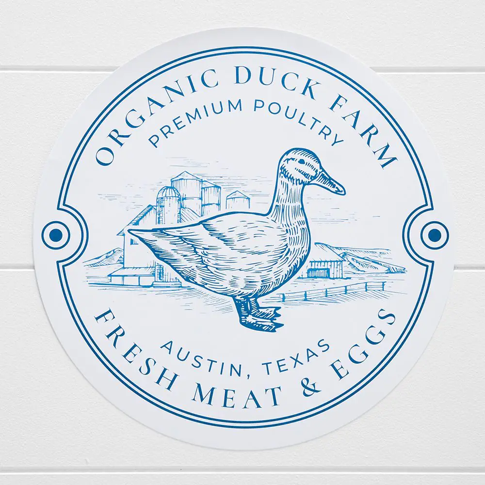 Harper Duck Paper Placemat 50 Pk Blue 3 Harper Duck Paper Placemat 50 Pk Blue