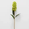 Green Skimmia Stem GREEN -Provincialhomeliving 1117261951 a 1