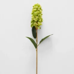 Green Skimmia Stem GREEN