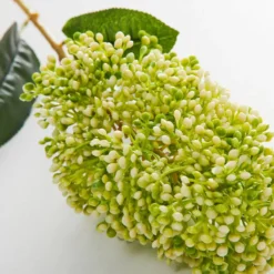 Green Skimmia Stem GREEN 8 Green Skimmia Stem GREEN -Provincialhomeliving 1117261951 c 1